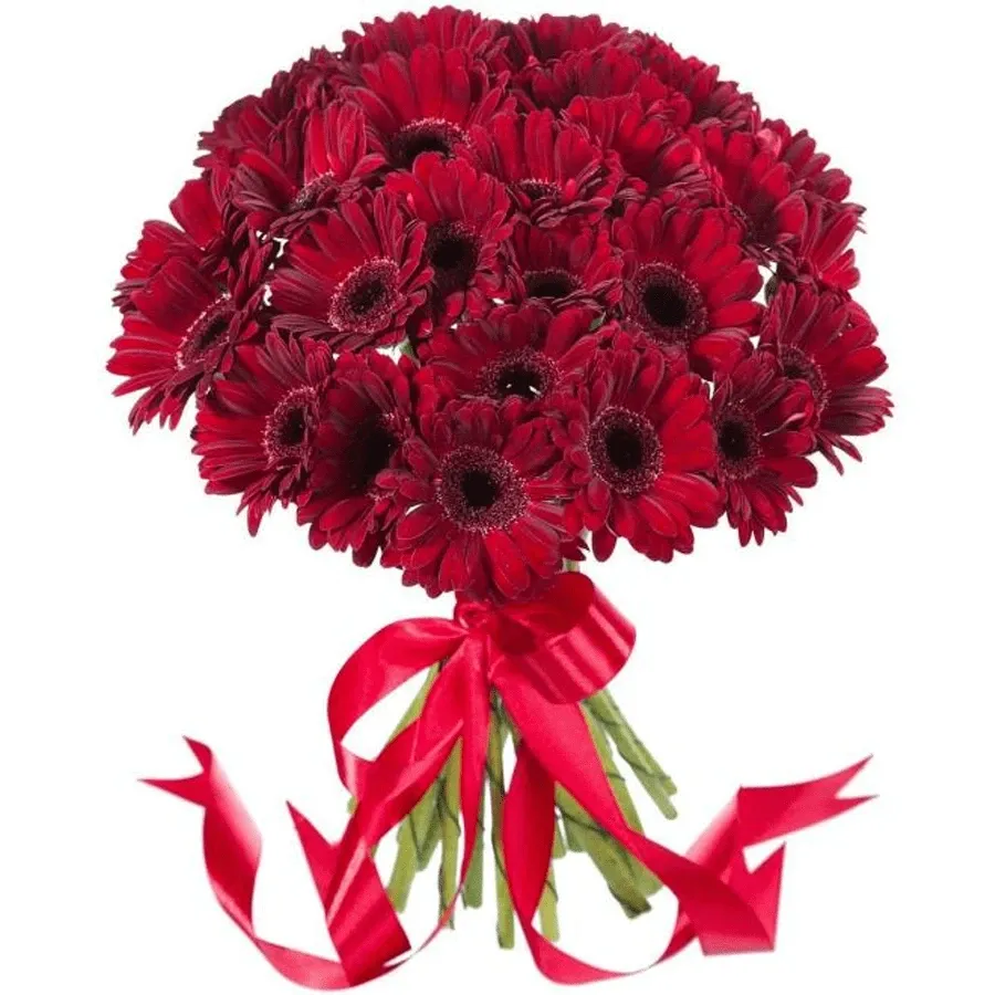 Герберы красные