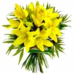 Лилии желтые