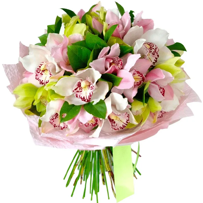 Орхидея микс №1